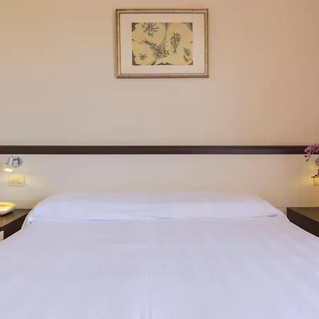 Fabricia Hotel 4*